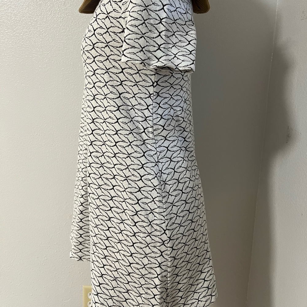 Zara Dress - Picture 2 of 5